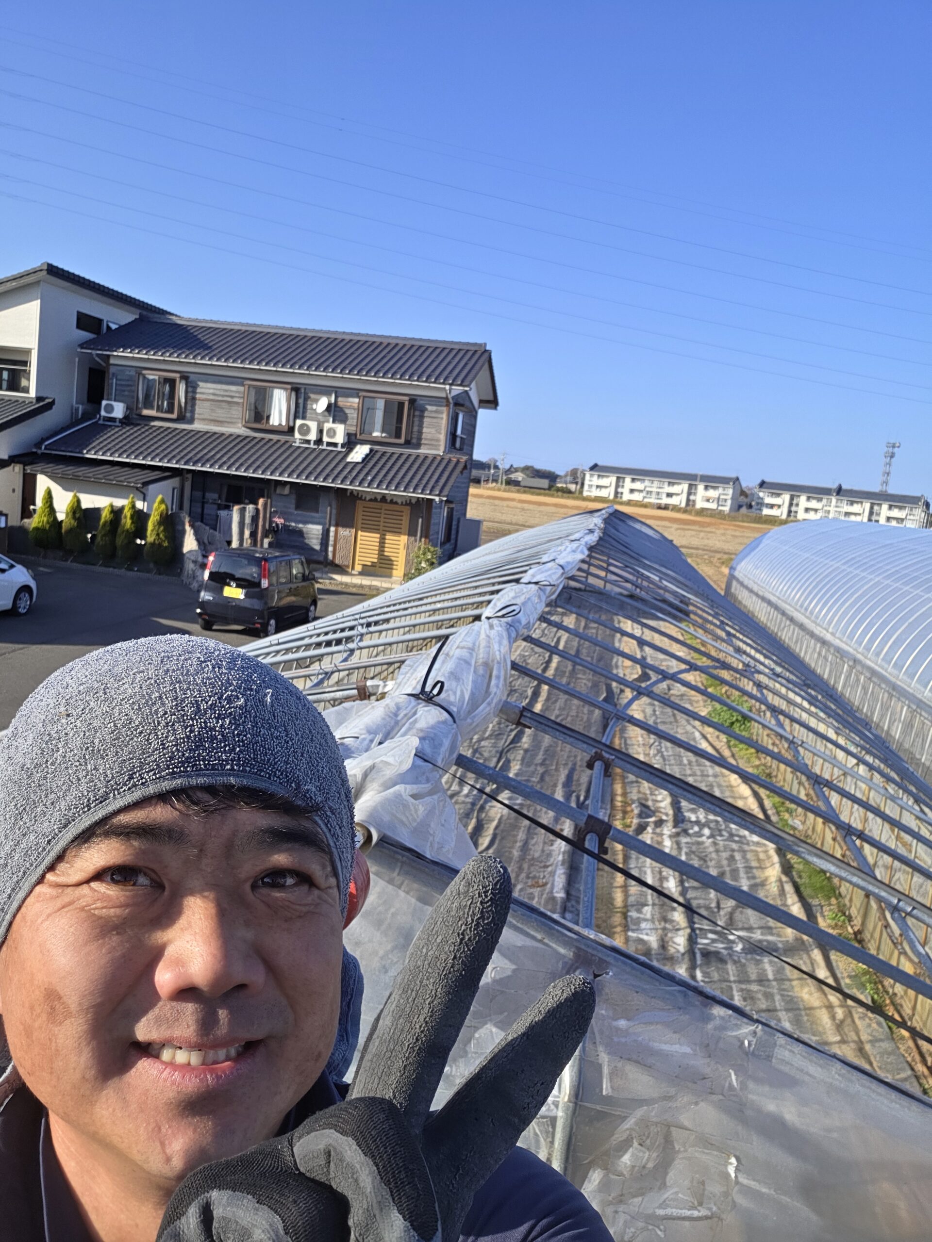 北陸の貴重な晴れ間にハウスを片付けました！！