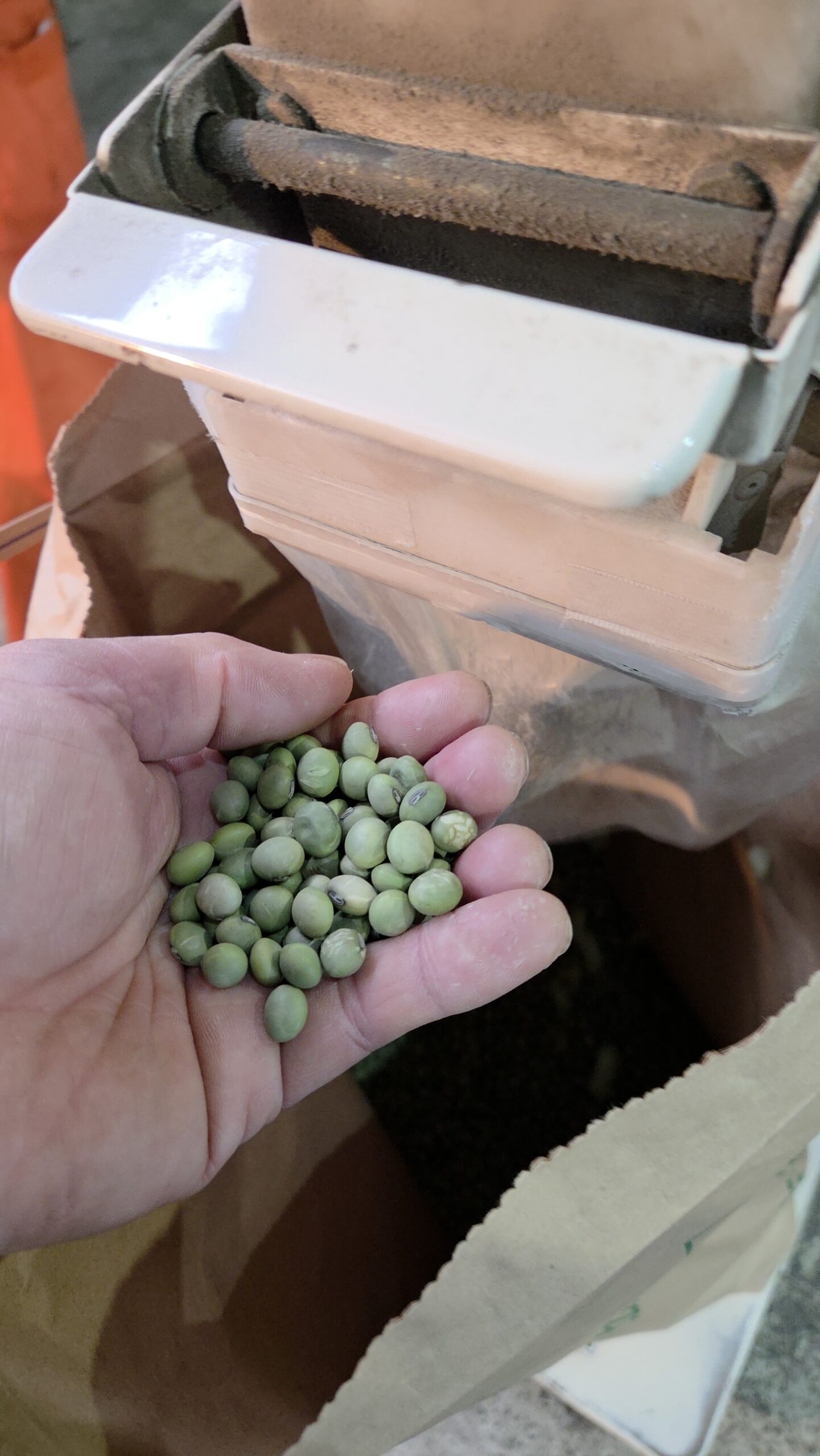 青大豆の選別を行うことが出来ました！！
