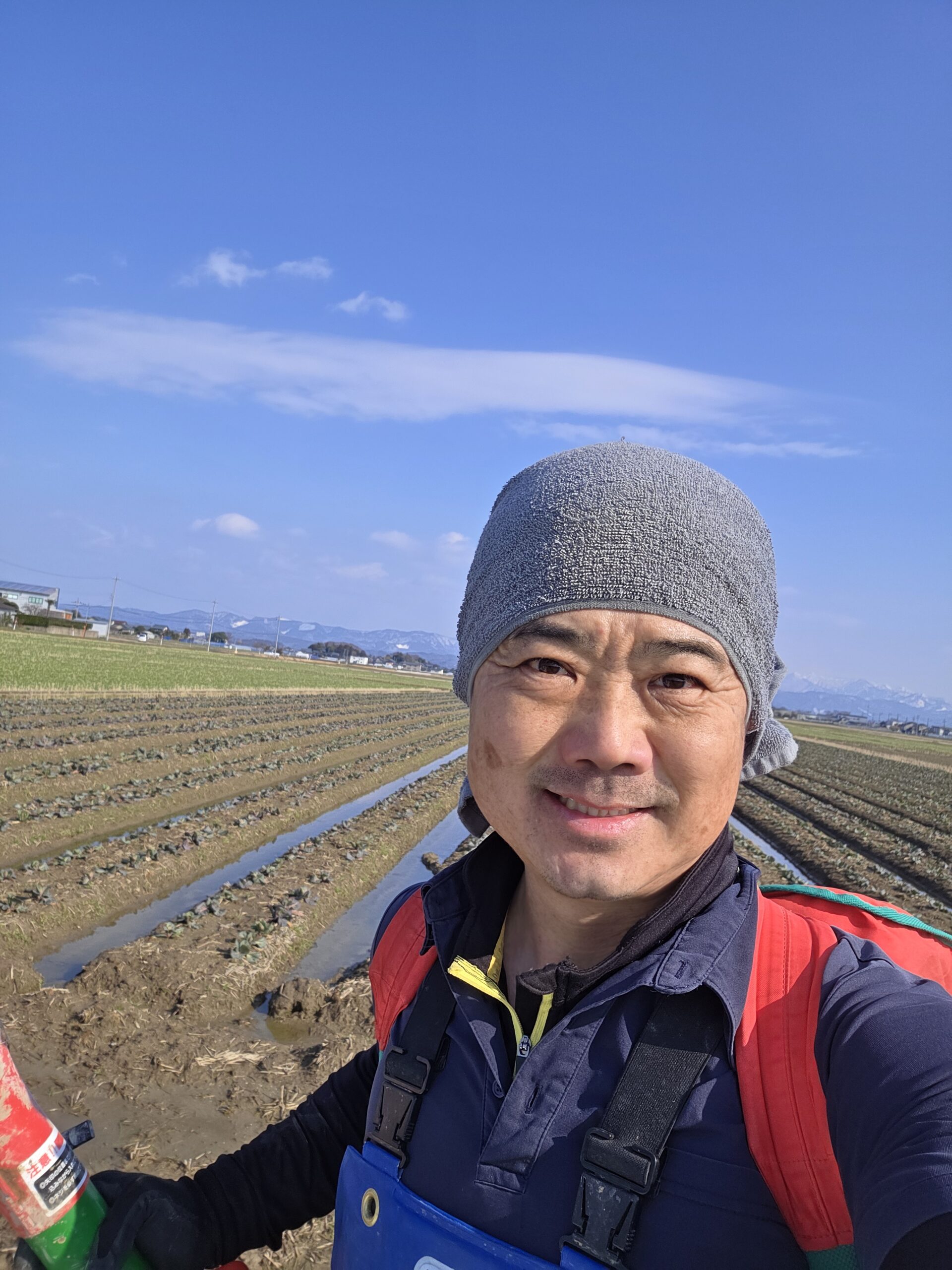 キャベツに追肥を行いました!!大きくなってほしいな。