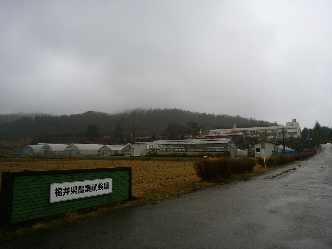 初めて福井県農業試験場へ行きました！！